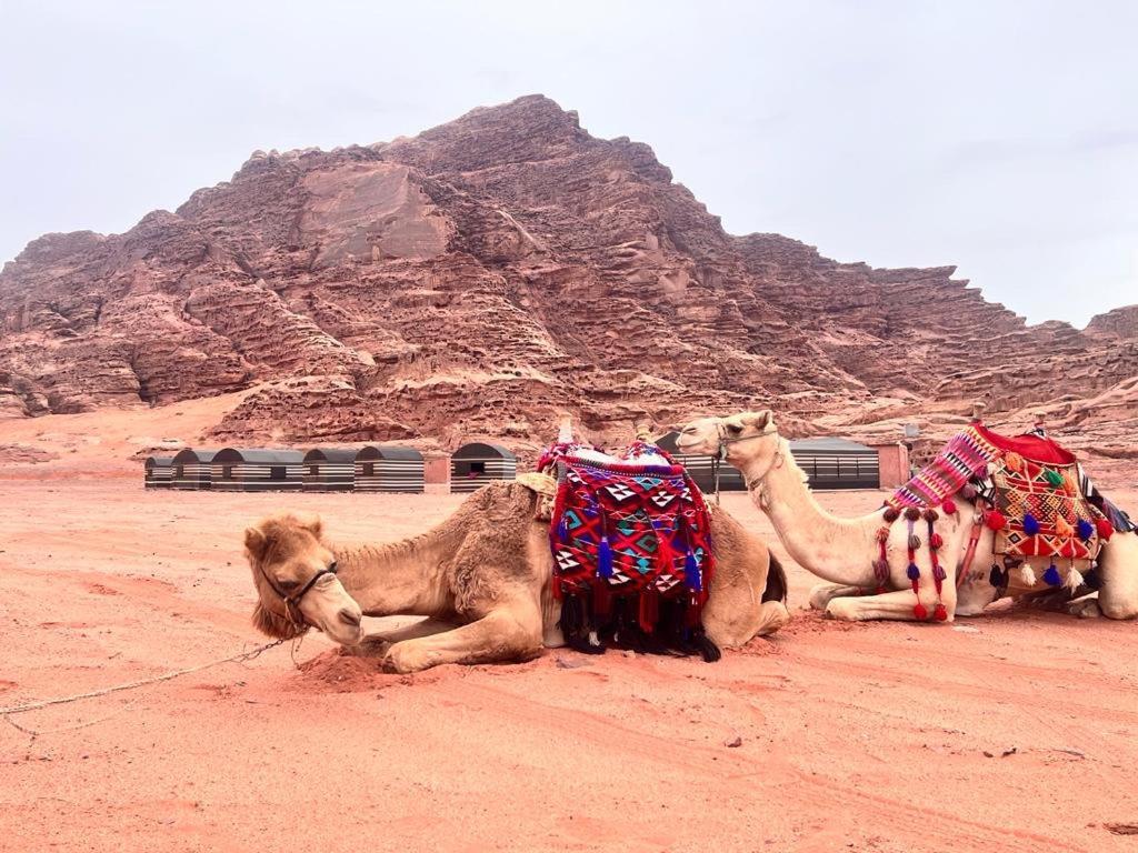 Wadi Rum Sky Tours&Camp Eksteriør billede